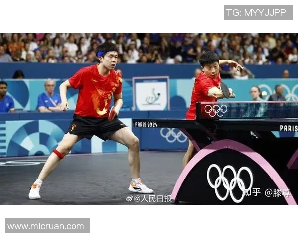 从零基础到高手之路乒乓球配合技巧全解析与实战训练指南